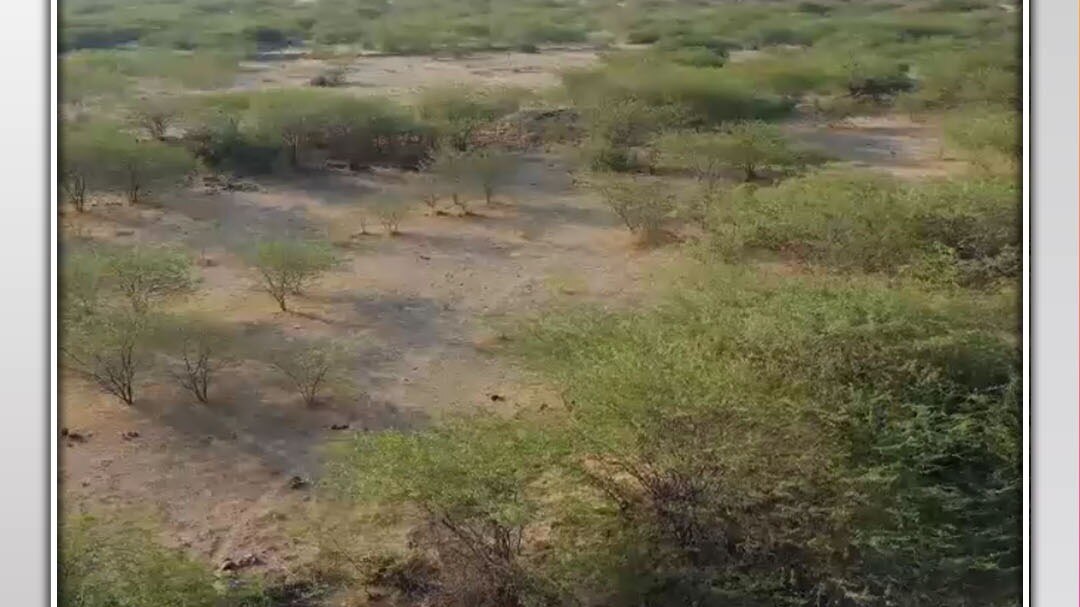 gujarat hadappa civilization found