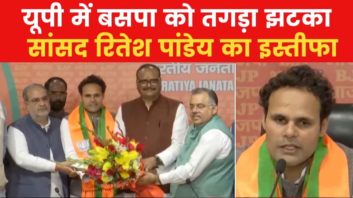 'मोदी जी के विजन को देखते हुए...', बसपा छोड़ बीजेपी में शामिल होने पर बोले रितेश पांडेय