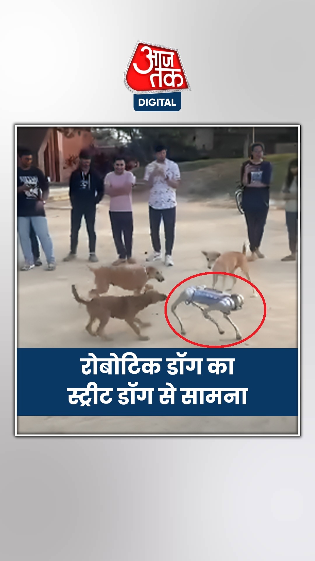 जब एक रोबोटिक डॉग का स्ट्रीट डॉग से हुआ सामना, देखें Video