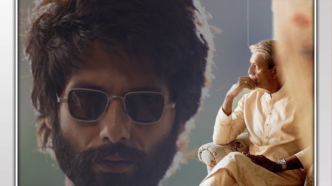 What Adil Hussain say about the film 'Kabir Singh'