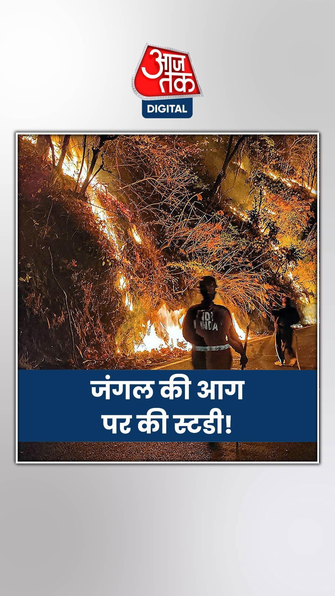 अंग्रेजों की एक गलती से आज तक धधक रहे उत्तराखंड के जंगल!