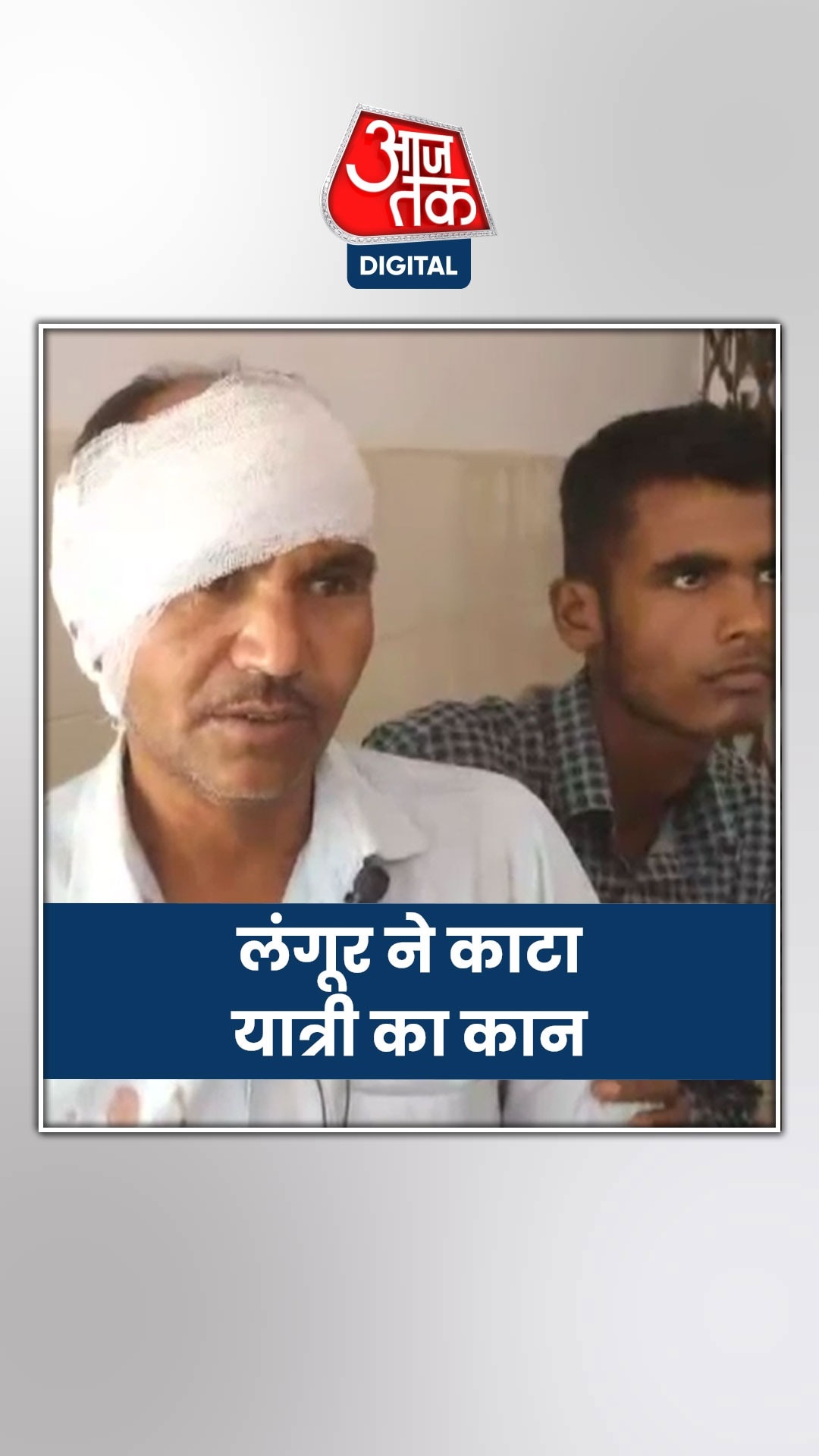 रेलवे स्टेशन पर ट‍िकट खरीद रहा था शख्स, कान काट गया लंगूर