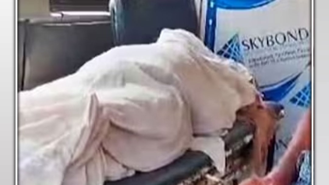 Doctor prescribe test for dead