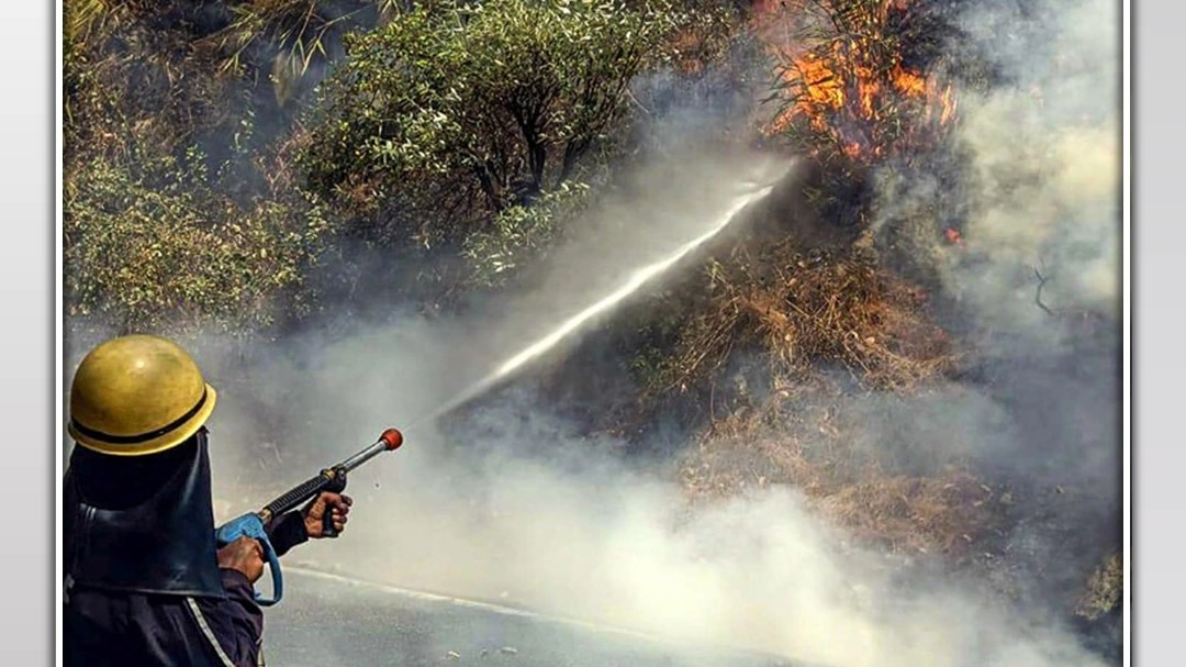 Kainchi Dham Fire