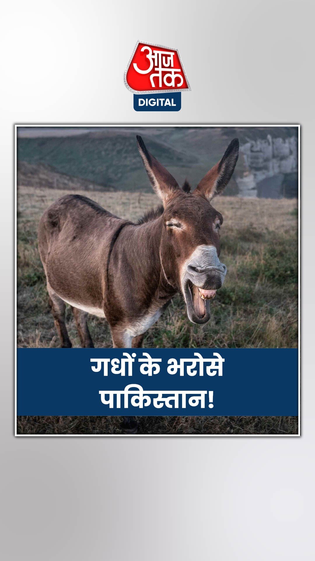 पाकिस्तान की इकोनॉमी में गधे निभा रहे अहम रोल, ये है वजह