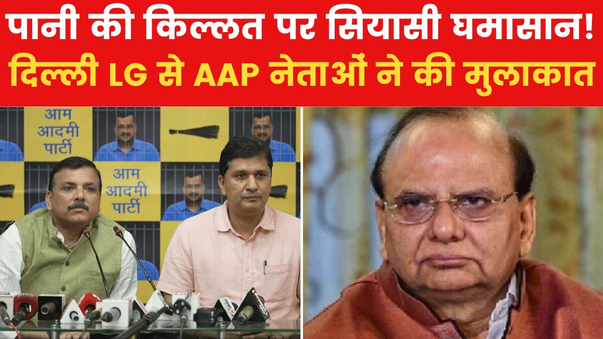 aap leaders met delhi lg