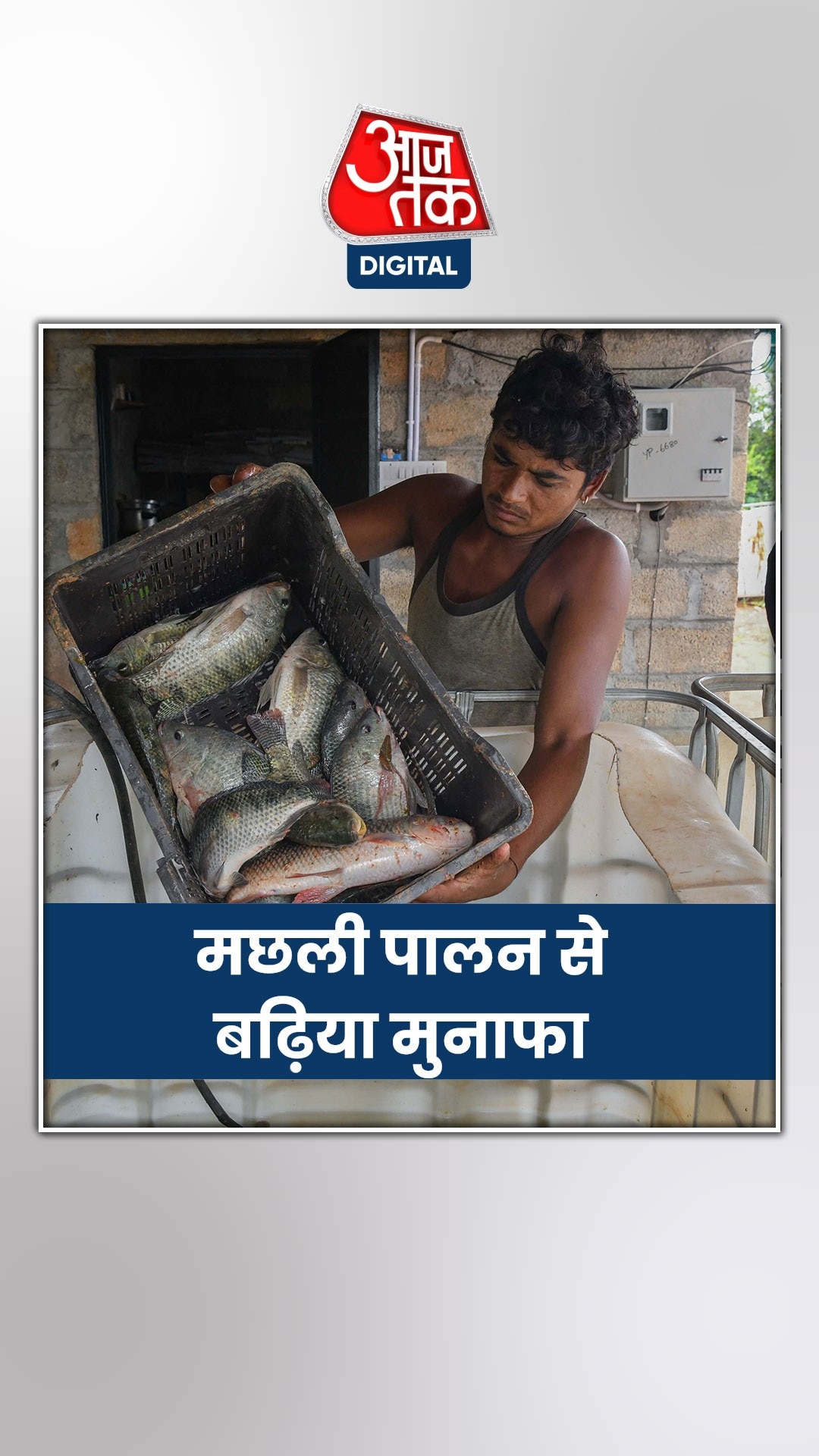 कैसे मिलेगा मछली पालन योजना का लाभ?