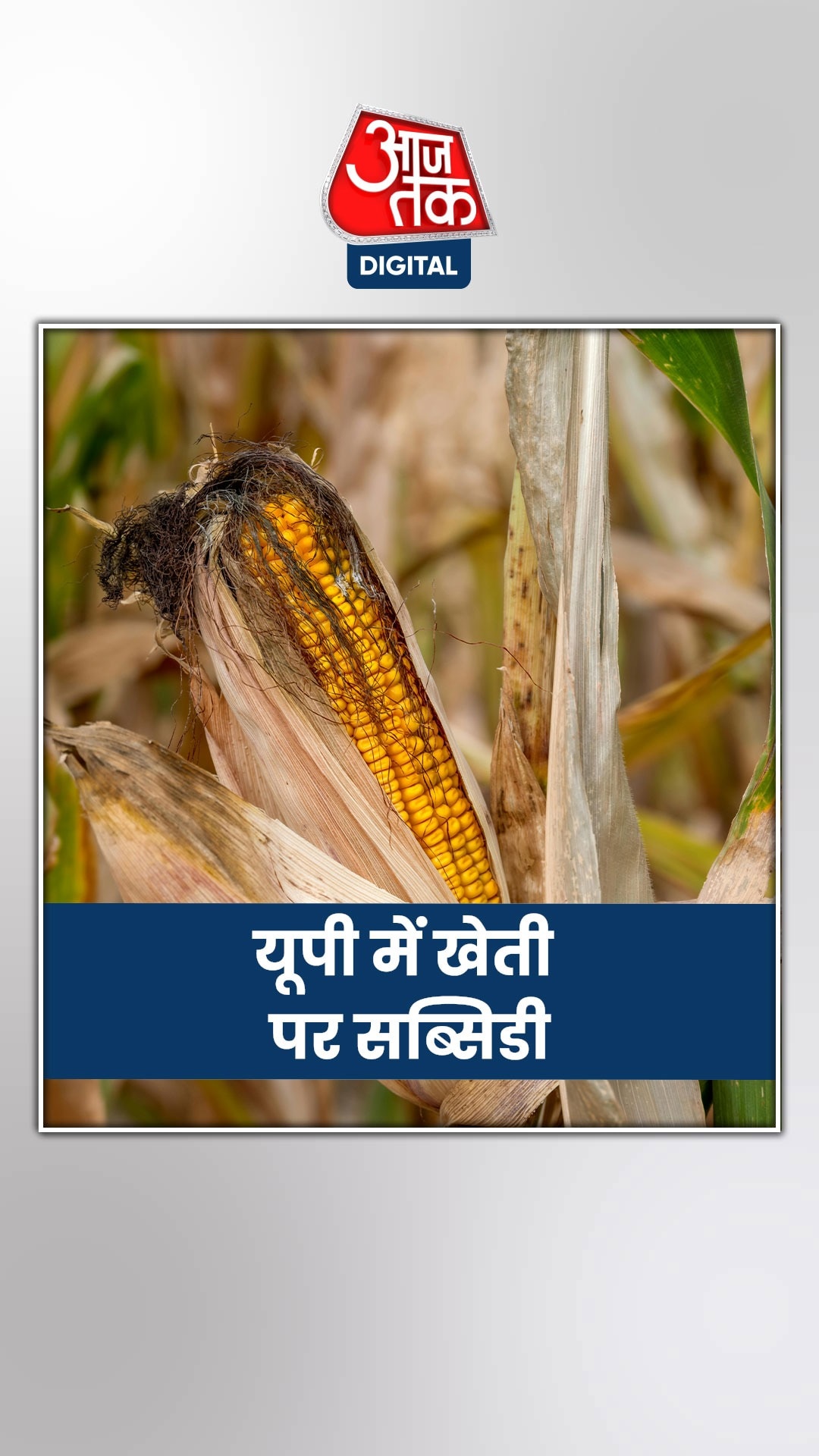 खेती पर किसानों को ऐसे मिलेगी सब्सिडी, जानें...