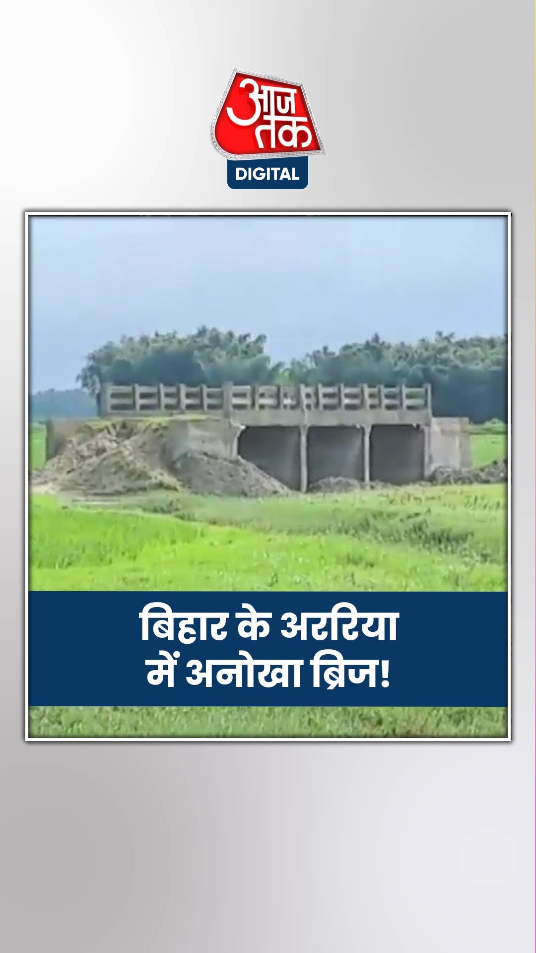 न नदी, न सड़क लेकिन खेत में बना दिया पुल, क्या है मामला?