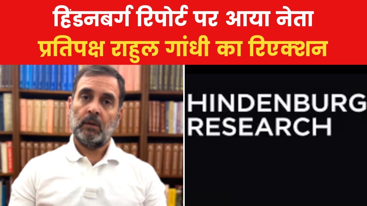 Rahul Gandhi On Hindenburg