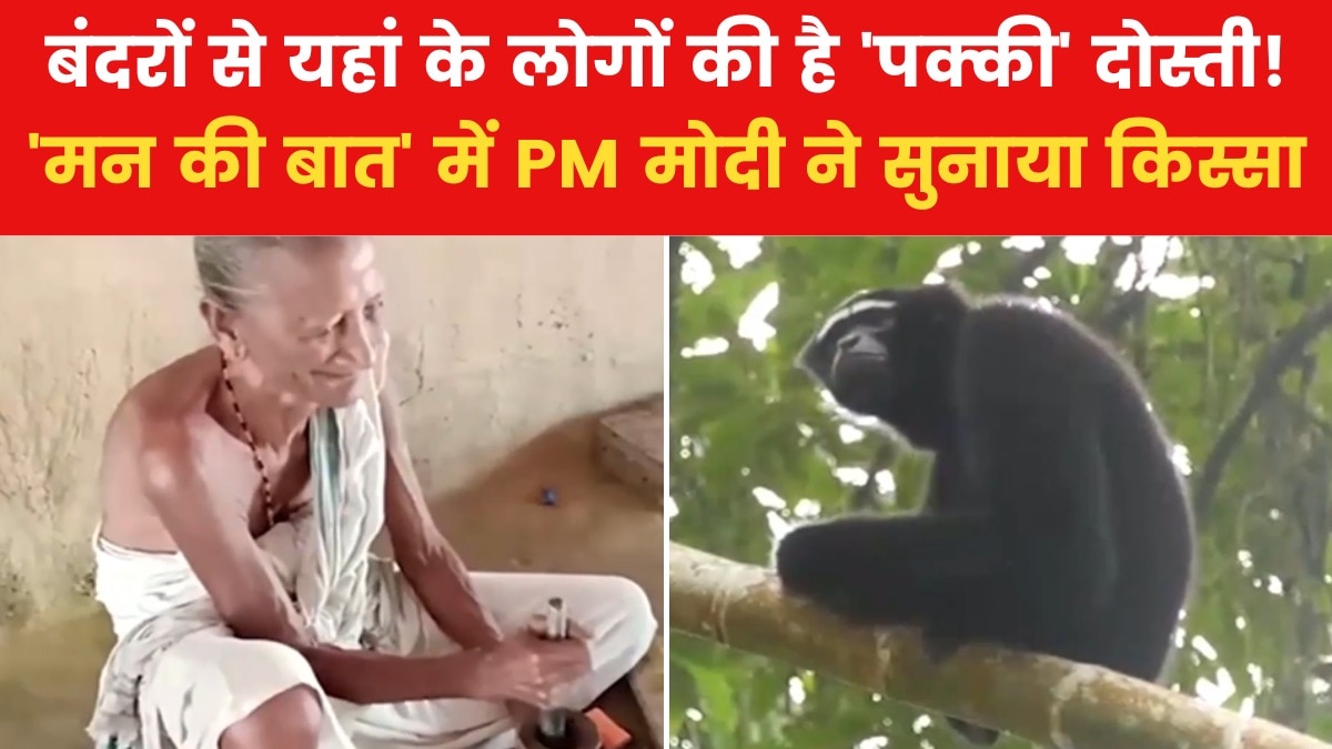 monkey human relation story