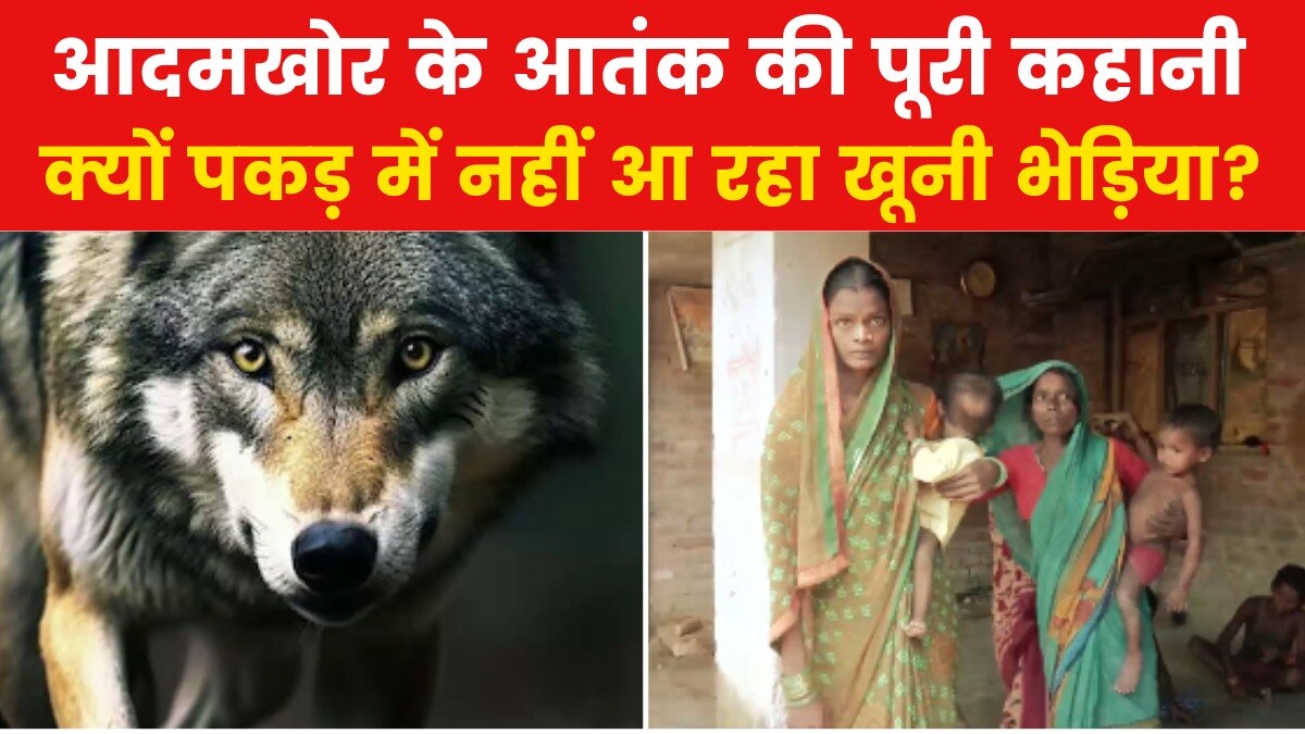 छोटे-छोटे बच्चों को शिकार बना रहा भेड़िया, गांवों में फैली दहशत