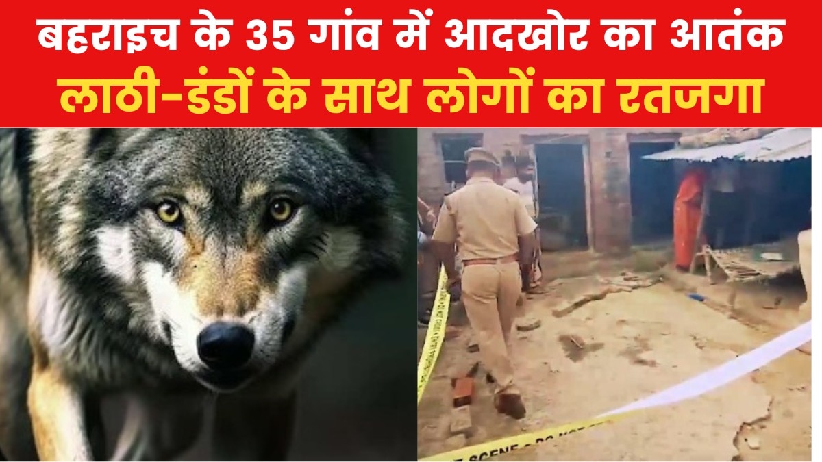 8 बच्चों समेत 9 शिकार....'आदमखोर' भेड़ियों के आतंक से कांपा बहराइच