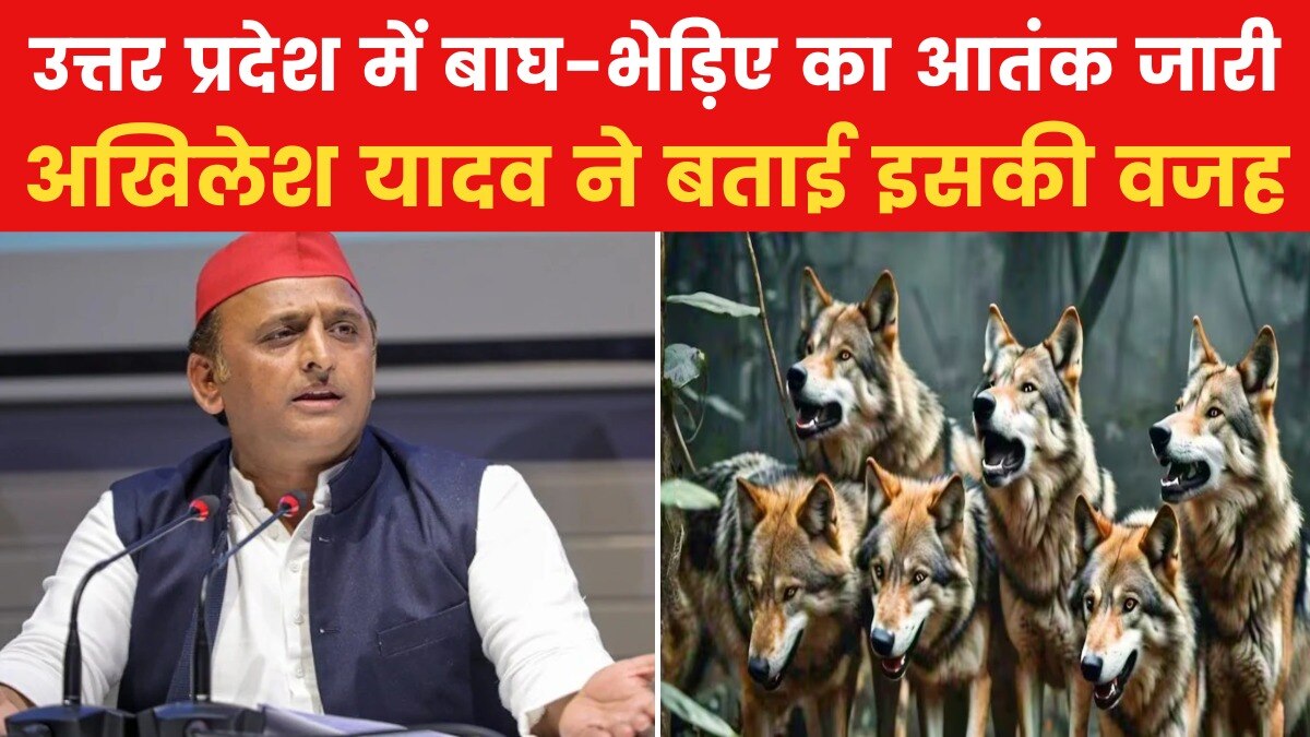 UP में क्यों हो रहे जानवरों के हमले? अखिलेश यादव ने बताई वजह - News AajTak