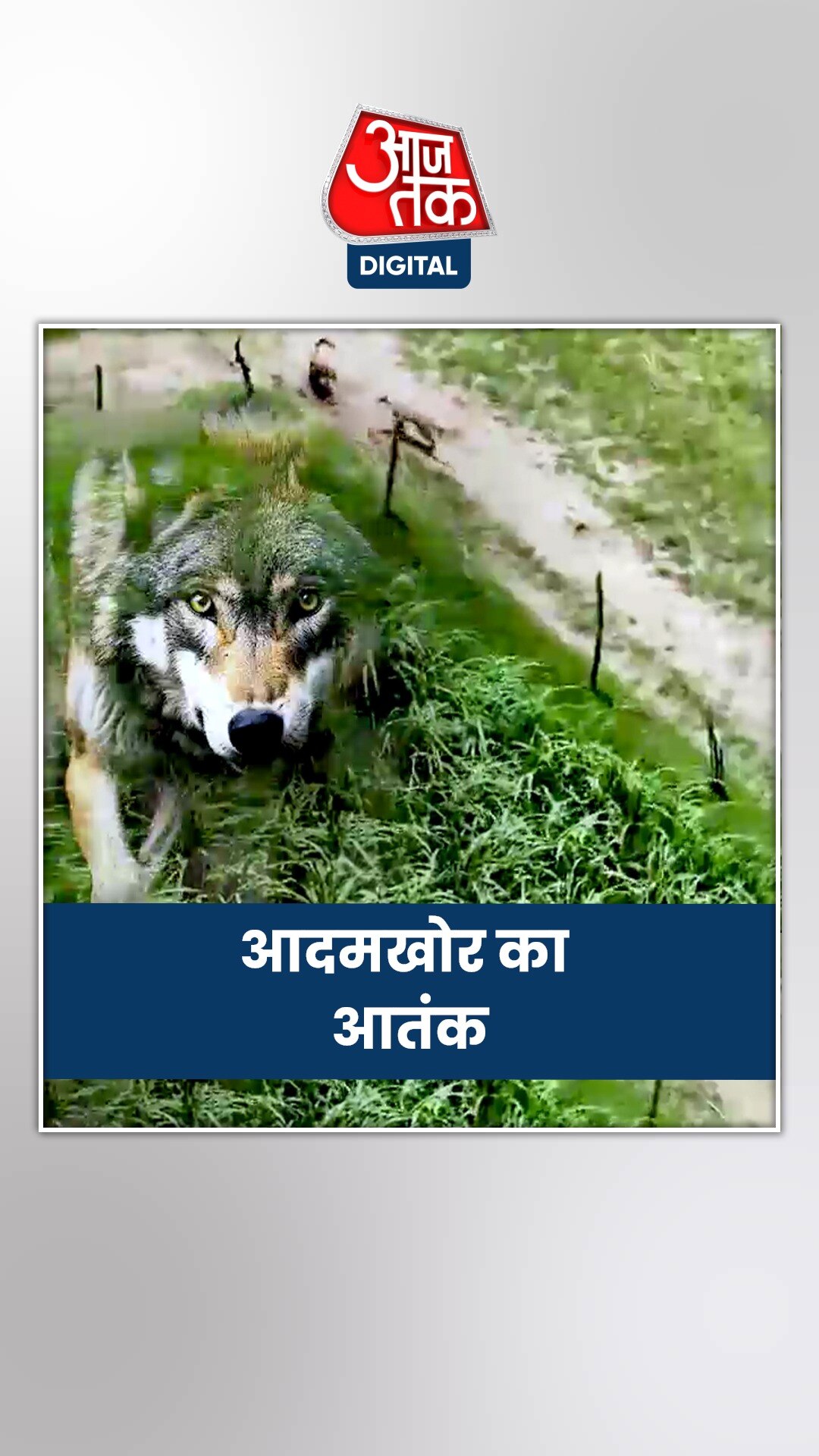 यूपी में ऐसे होगा आदमखोर भेड़ियों का खात्मा