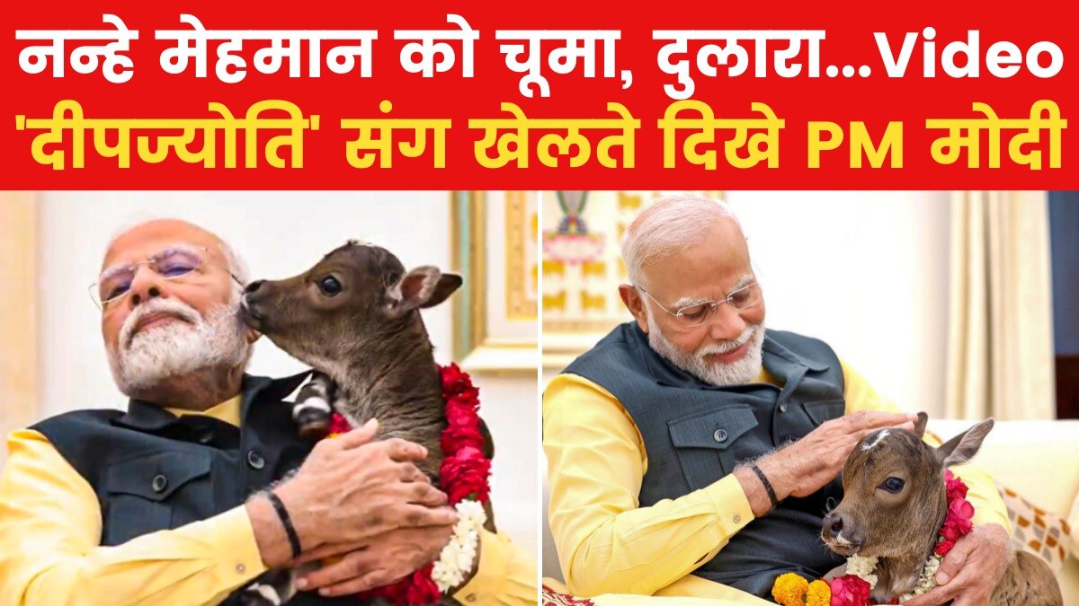 पीएम मोदी के घर आया नन्हा मेहमान 'दीपज्योति', दिल छू लेगा ये Video