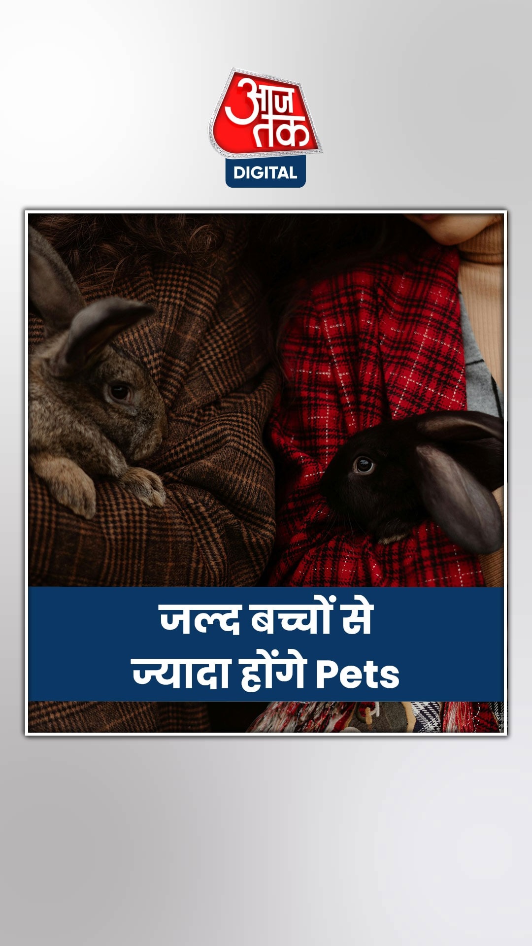 चीन में इस साल बच्चों से ज्यादा हो जाएंगे पालतू कुत्ते-बिल्ली, शी जिनपिंग के लिए नई टेंशन!