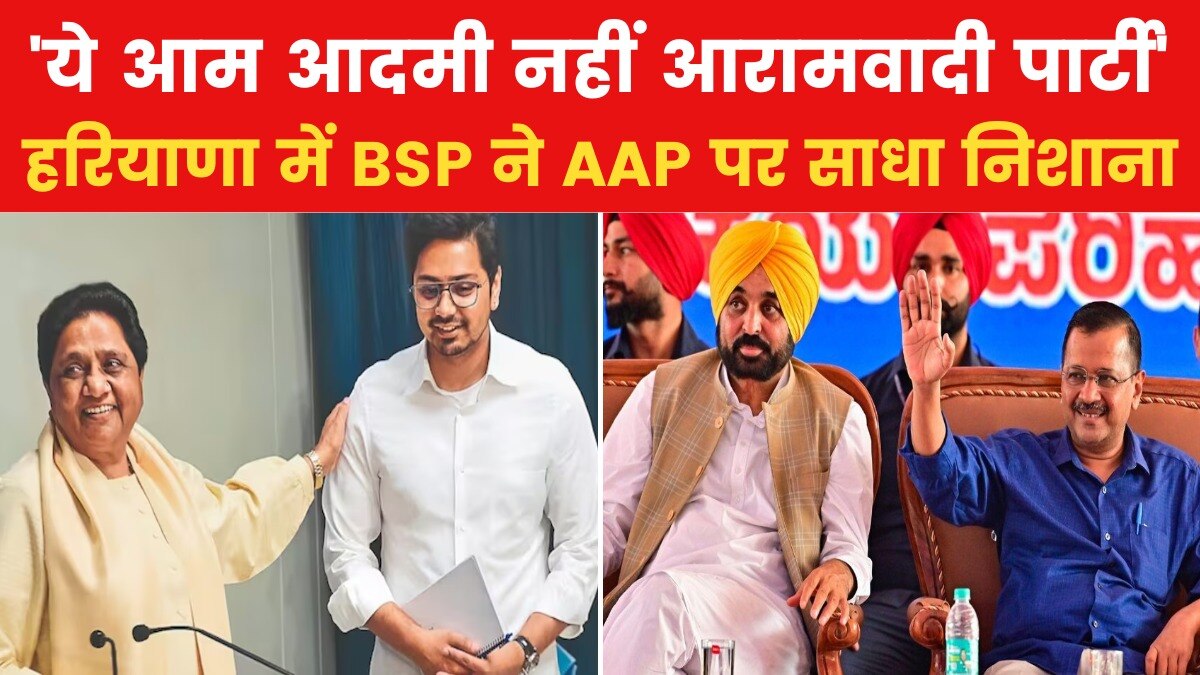 'स्कूलों की जगह शराब के ठेके खोले गए...', आप पर भड़के BSP नेता आकाश आनंद