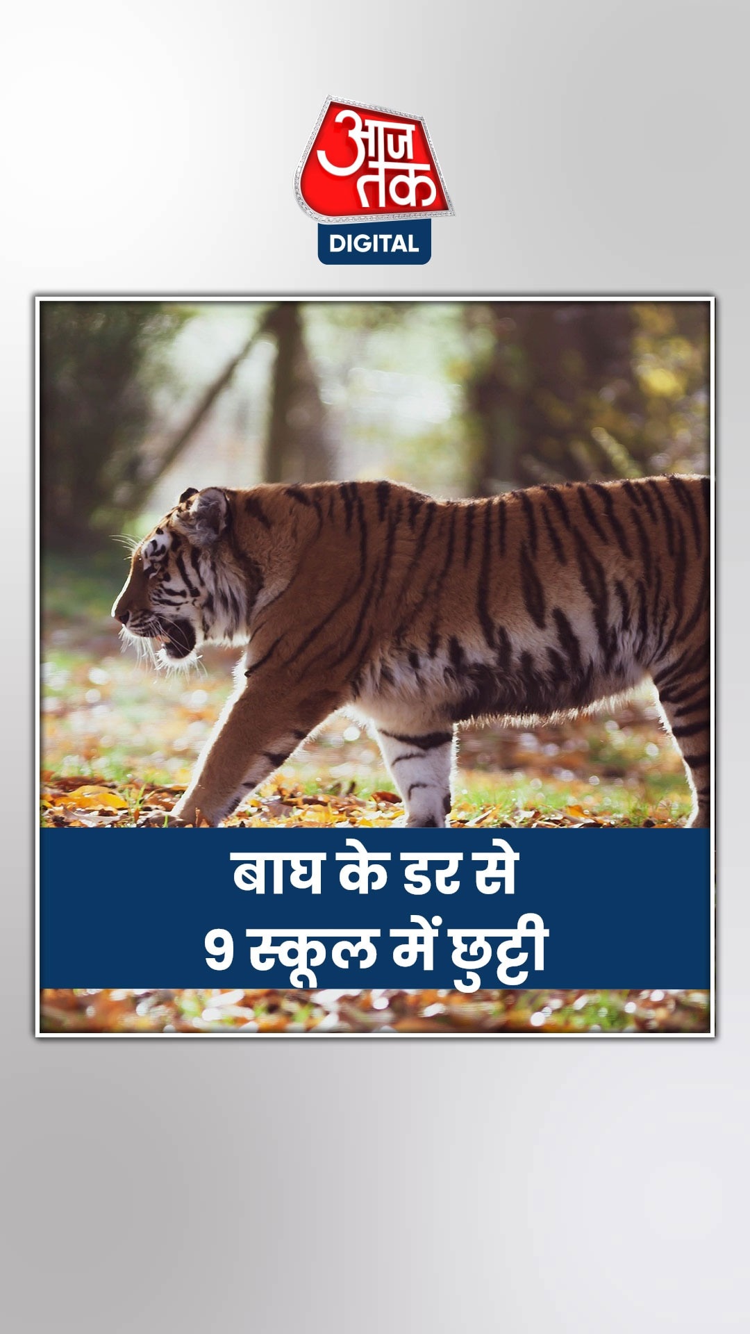 उत्तराखंड: पौड़ी में बाघ के खौफ से स्कूल बंद