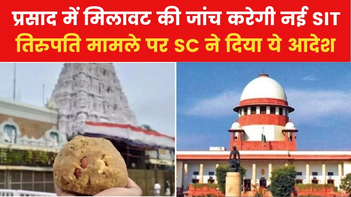 tirupati prasad adulteration