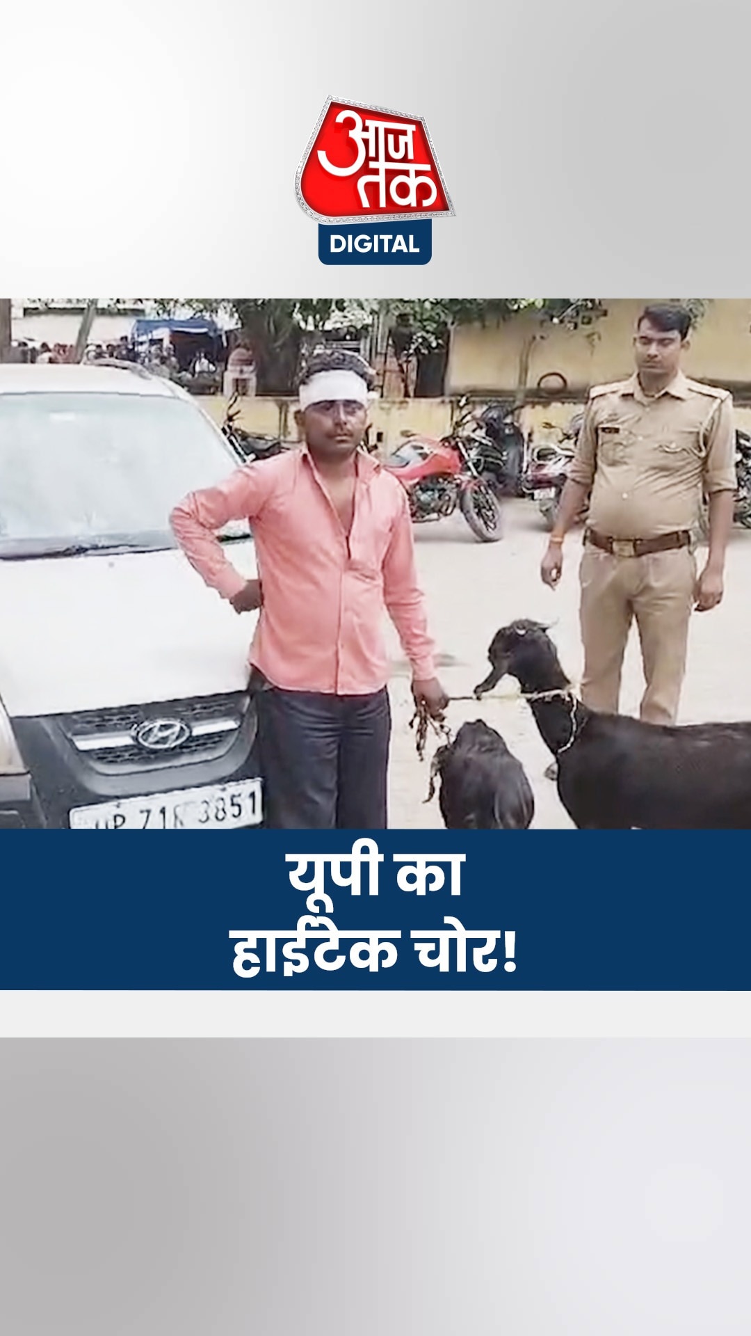 कार से मिनटों में चुरा लेता था बकरियां, पुलिस ने किया गिरफ्तार 