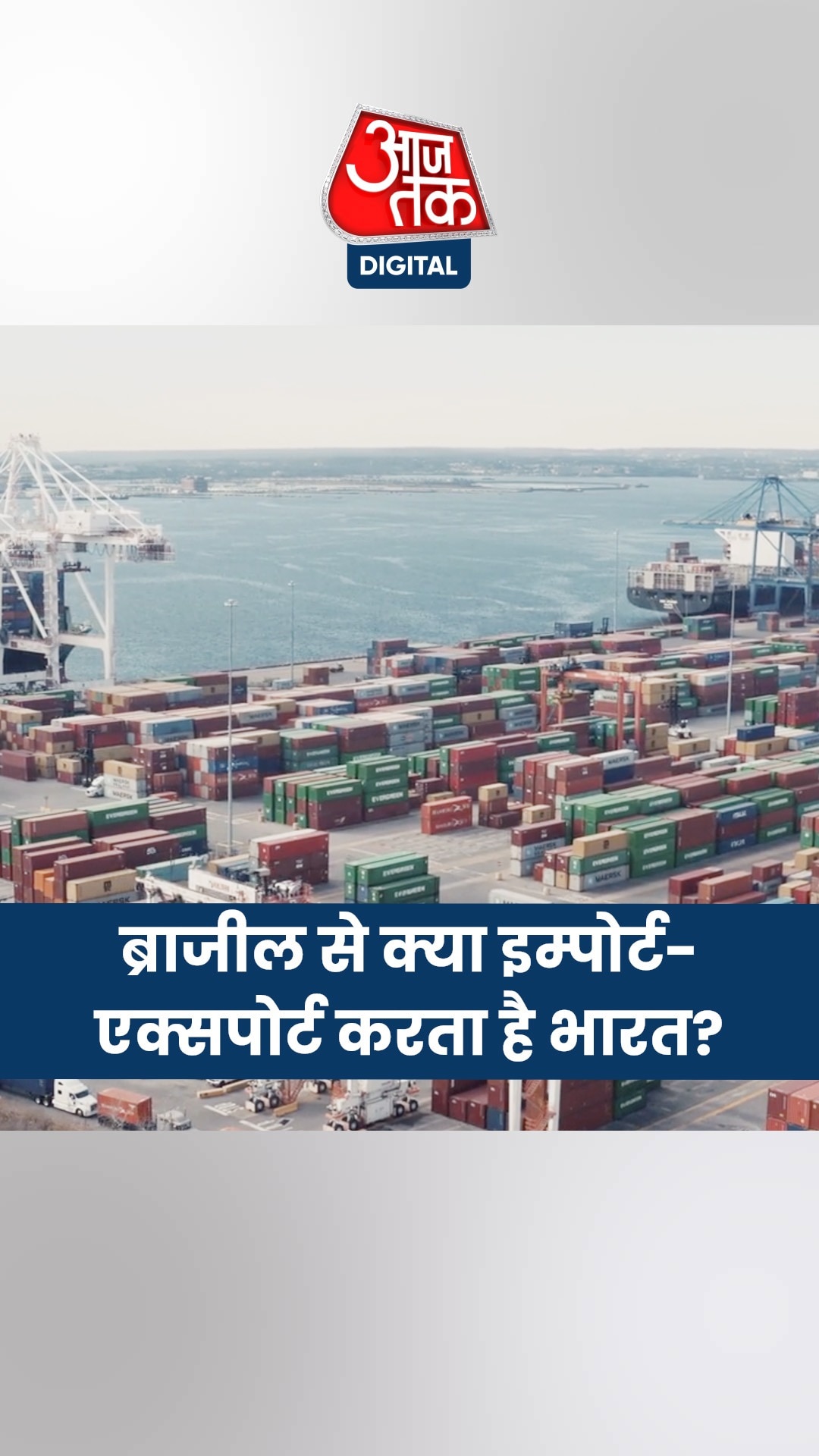 ब्राजील से भारत क्या-क्या इम्पोर्ट-एक्सपोर्ट करता है?