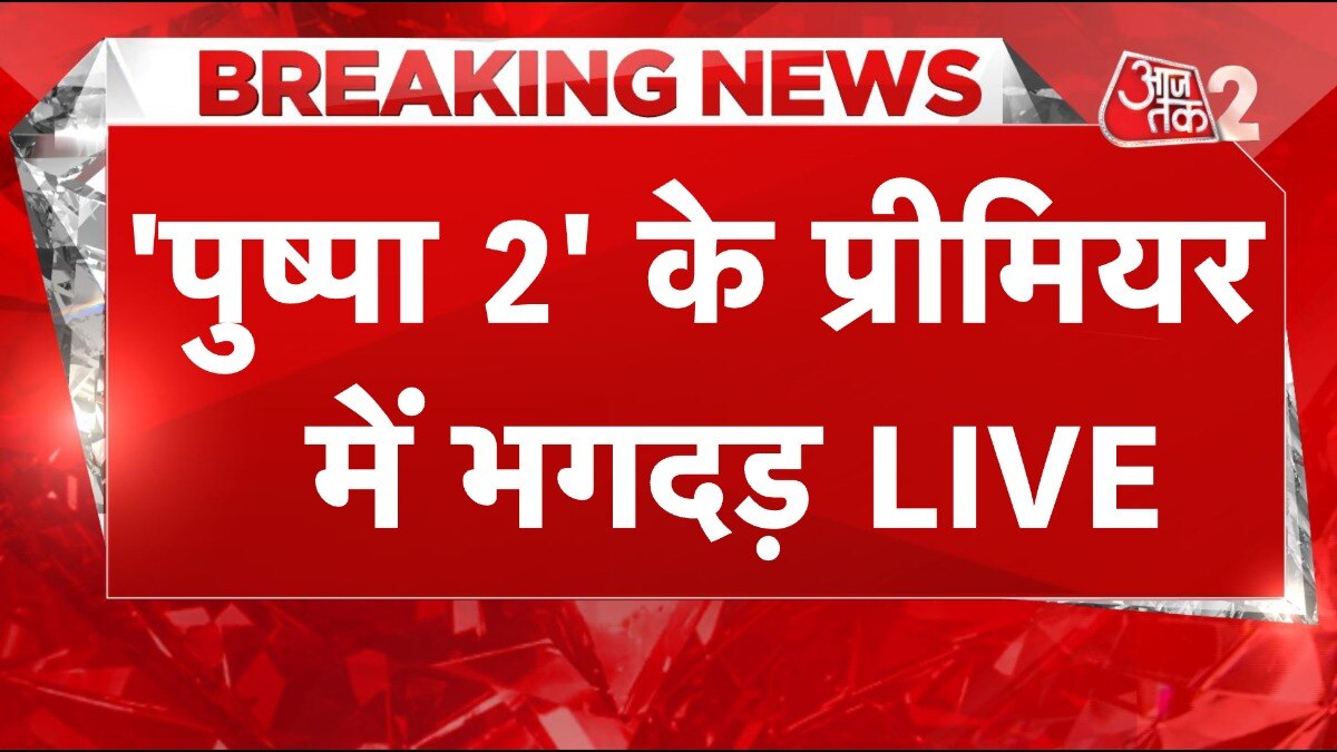 पुष्पा 2 ने तोड़े सारे रिकॉर्ड्स, फैंस का क्रेज देखिए