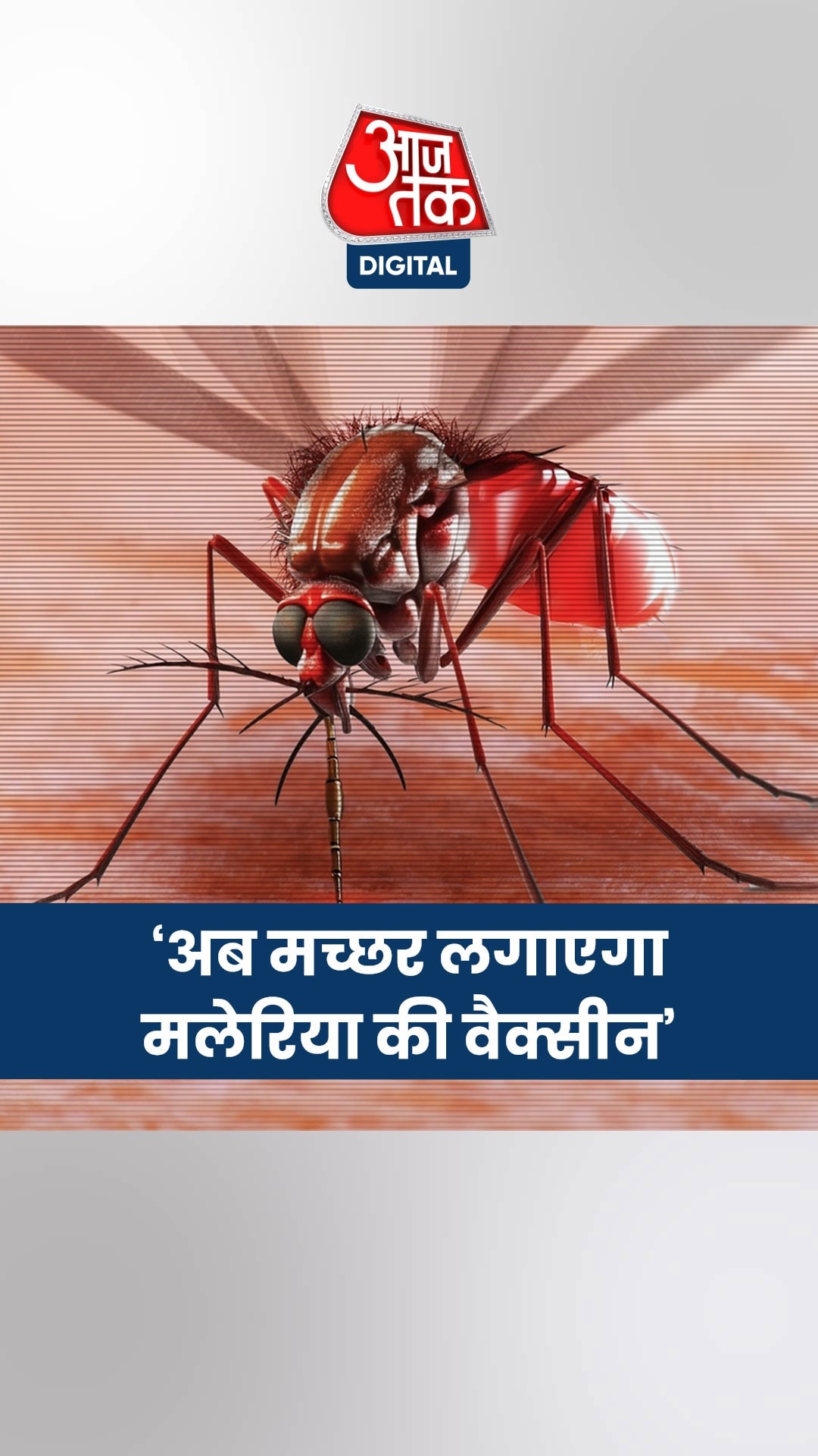 अब मच्छर अपने डंक से लगाएगा मलेरिया की वैक्सीन, वैज्ञानिकों ने की ये नई खोज…