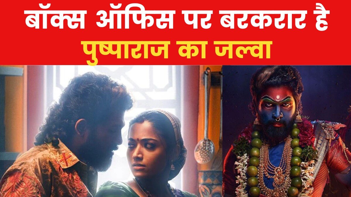 Pushpa 2 the rule superhit