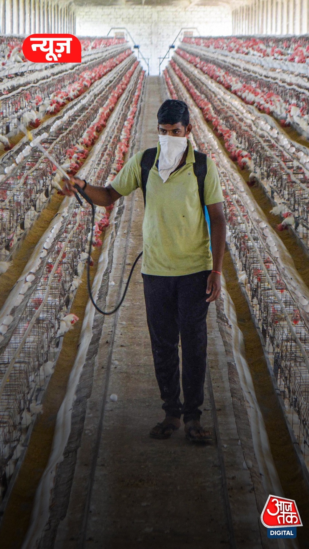 Maharashtra: बर्ड फ्लू का खतरा, 10 KM का इलाका अलर्ट ज़ोन