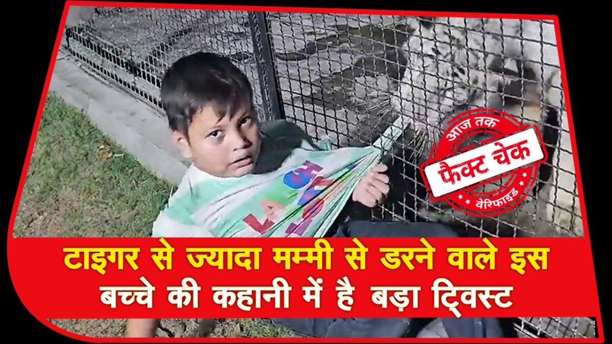 Boy and Tiger Viral Video,