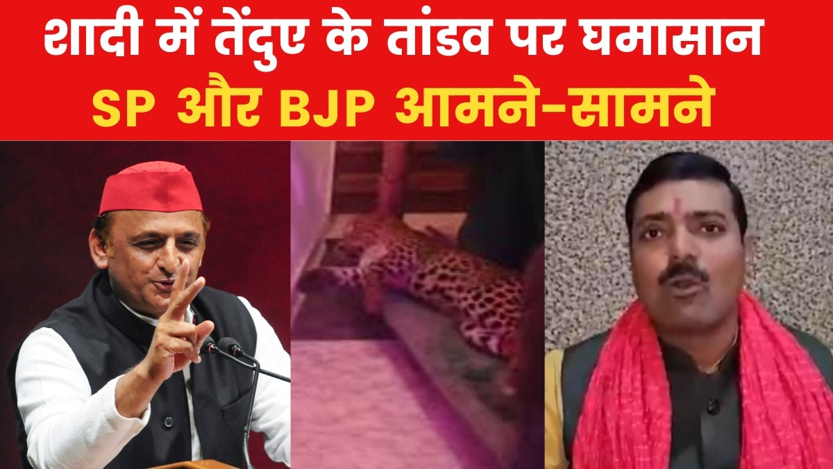 UP leopard Politics
