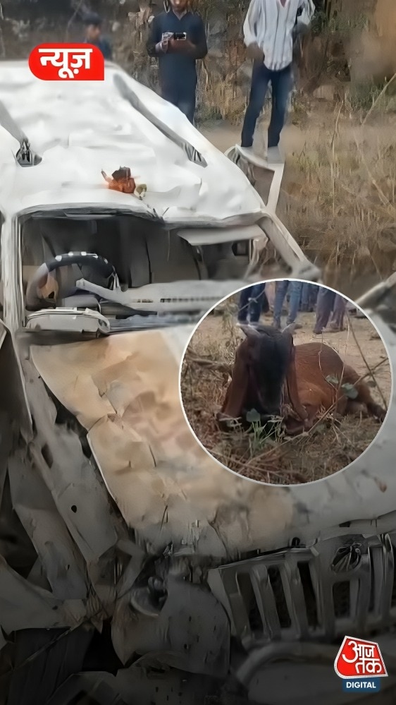 Jabalpur: बकरे की बलि देने जा रहे लोगों की मौत