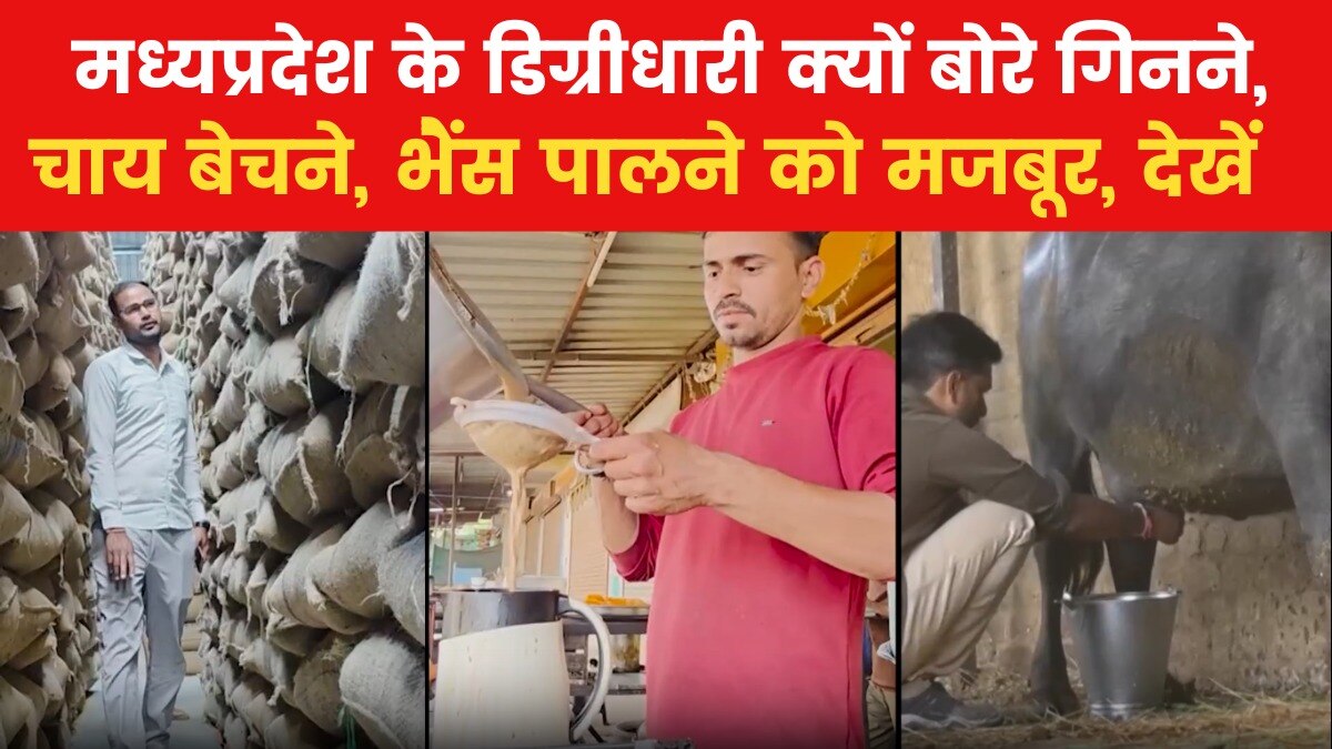 Madhya Pradesh Education system Crisis