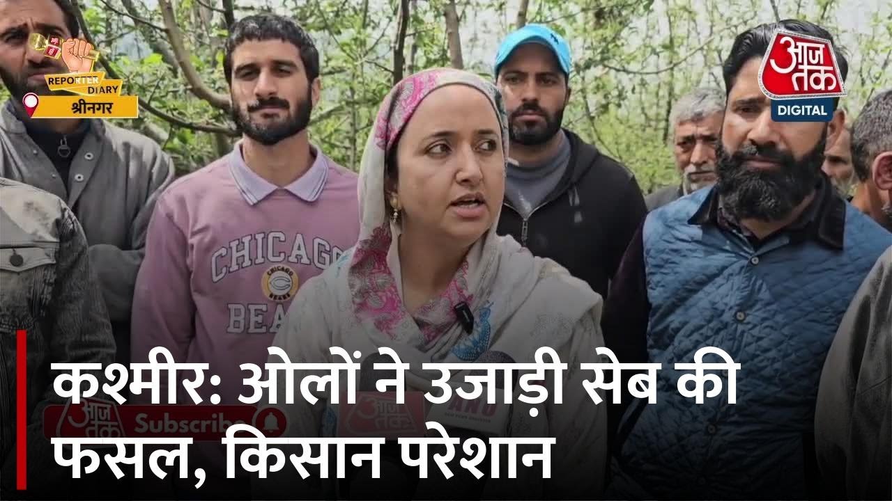 कश्मीर में ओलावृष्टि से सेब की फसल तबाह, किसानों ने सरकार से लगाई ये गुहार