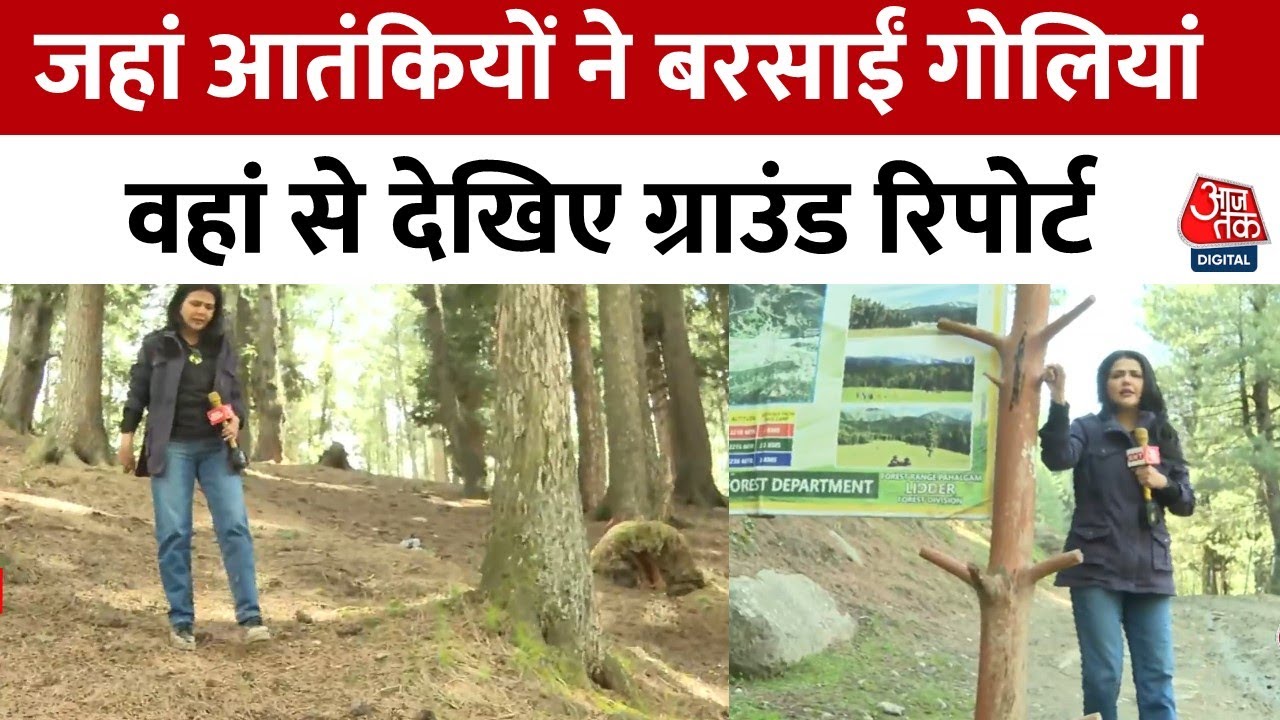 पहलगाम में हमले वाली जगह लोगों के छूटे चप्पल-जूते बयां कर रहे आतंक की दहशत...देखें ग्राउंड रिपोर्ट