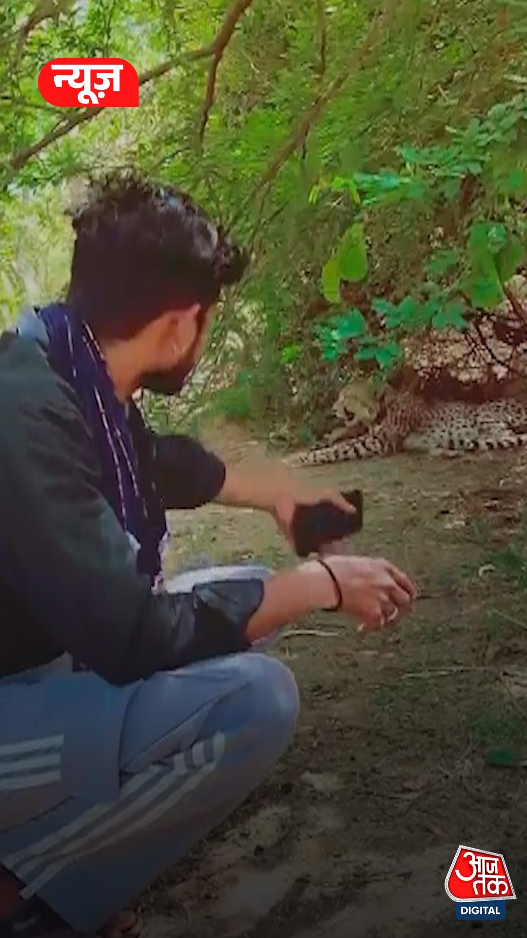 Viral Video: कूनों में चीतों के पास ली सेल्फी, REEL भी बनाई 