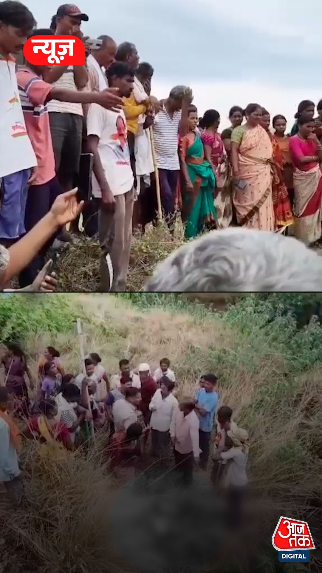 महाराष्ट्र: गाय चराने गए बुजुर्ग पर बाघ का हमला, मौत