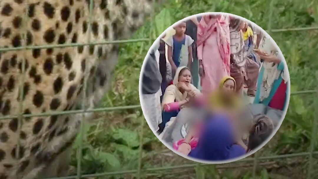 Bahraich UP leopard attacked woman