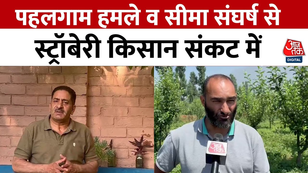 Kashmir: The Struggle of Strawberries and Farmers