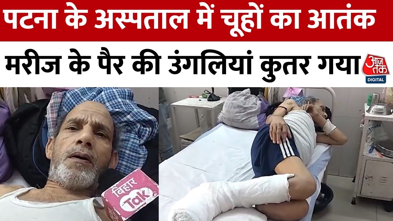 Mice have bitten, patients are unsafe in the hospital.