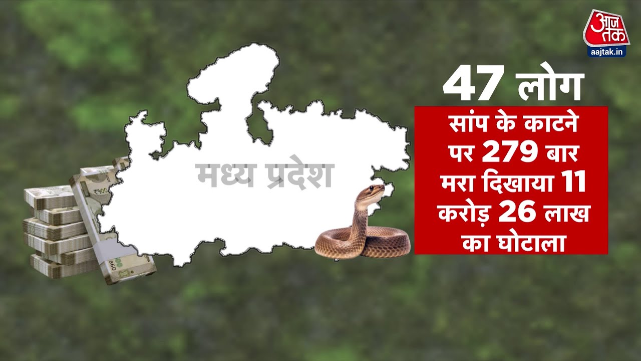 MP: 47 people died 279 times, embezzlement of 110 million!