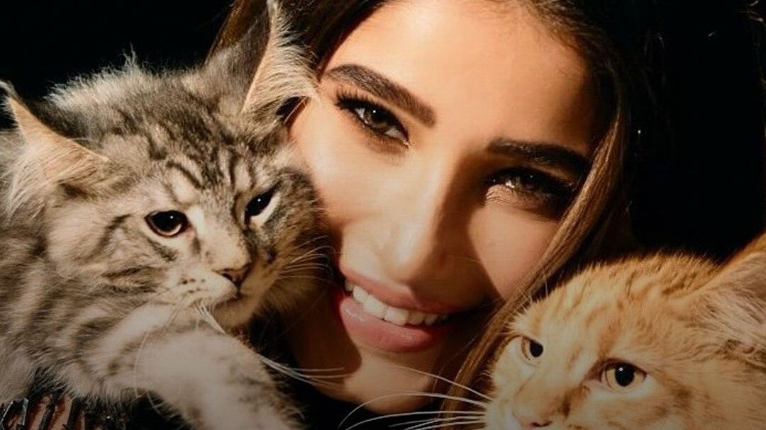 Rasha thadani with pet cats