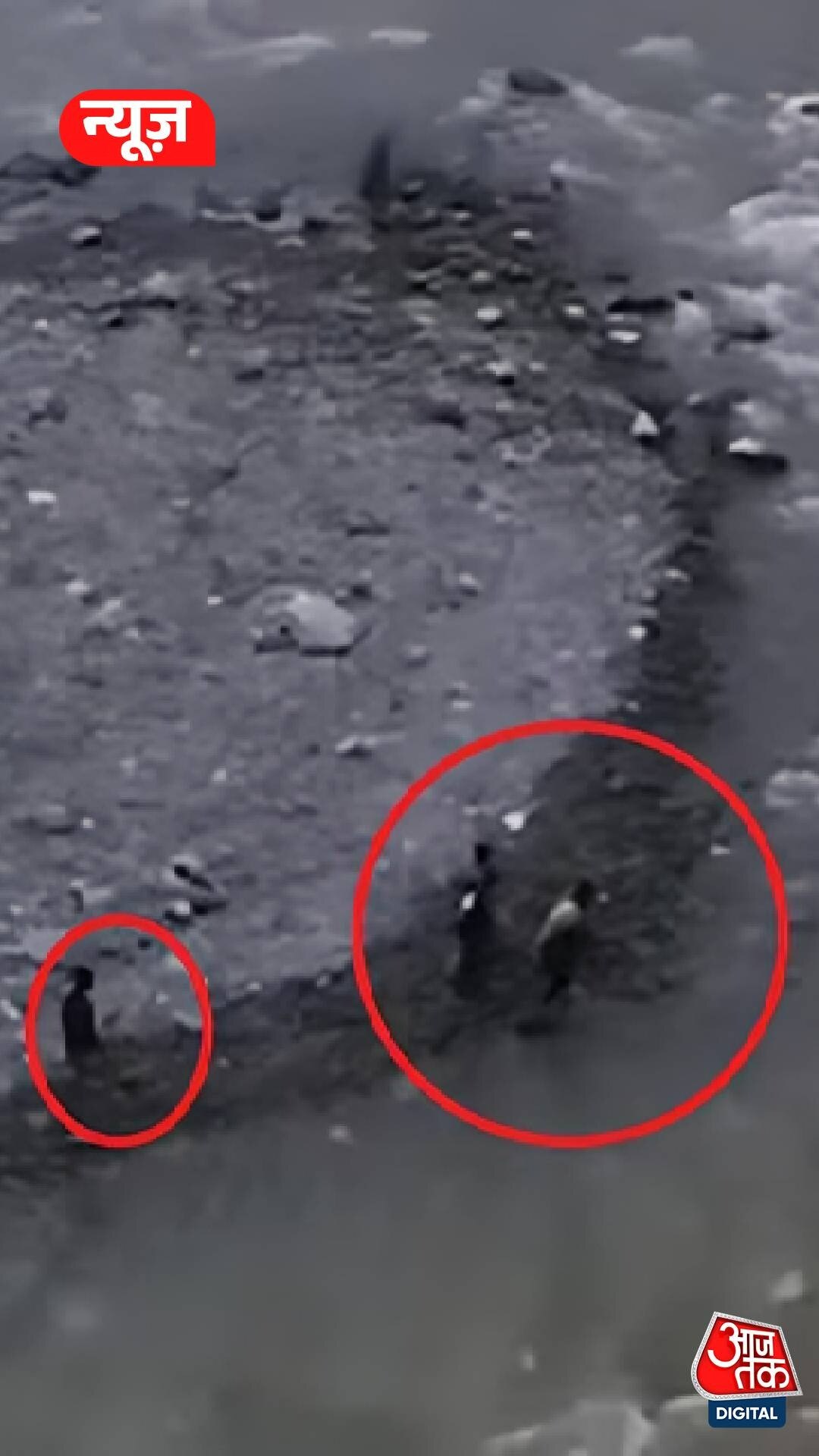 Uttarakhand: टापू पर फंसे युवक, SDRF ने बचाया