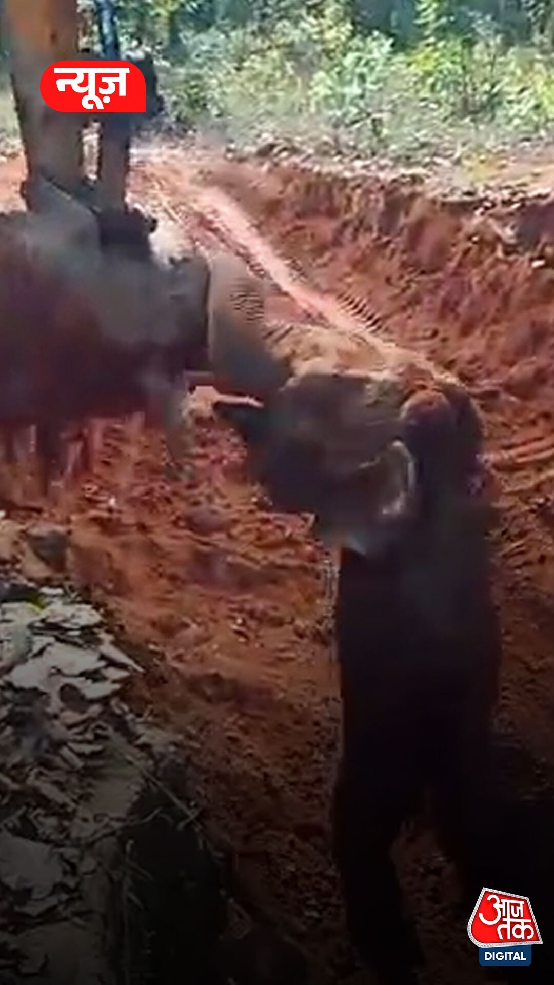 दिल छू लेगा कुएं में गिरे बेबी इल‍िफेंट के रेस्क्यू का ये वीड‍ियो