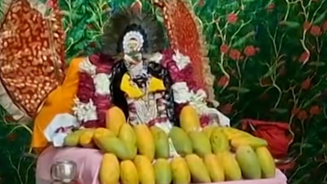 karnal mandir lord krishna offered 500kg mango