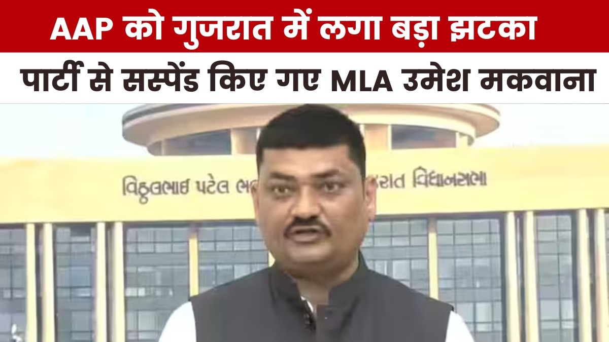 उपचुनाव में जीत के बाद AAP के जश्न पर कैसे लगा ग्रहण, देखें गुजरात आजतक में