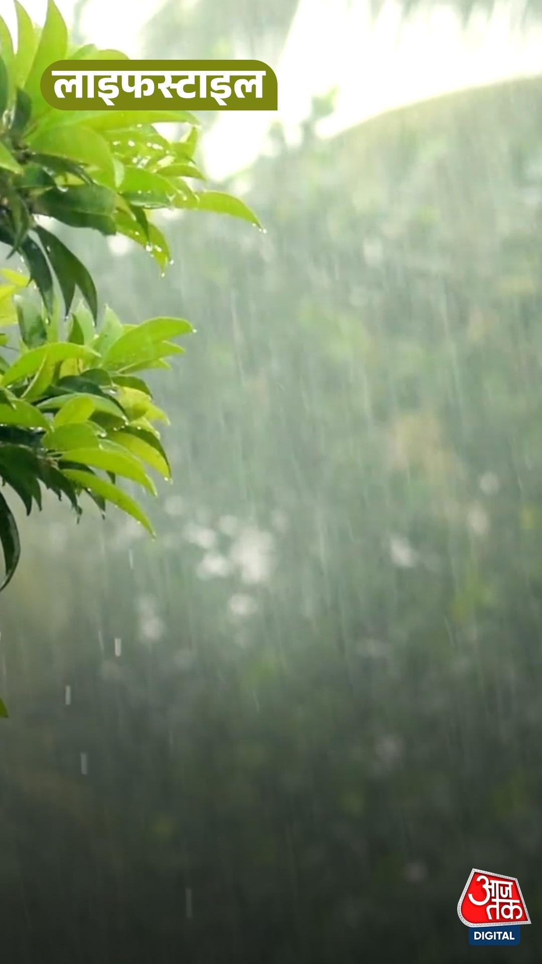 बारिश के पानी को store करने के आसान और कारगर tips