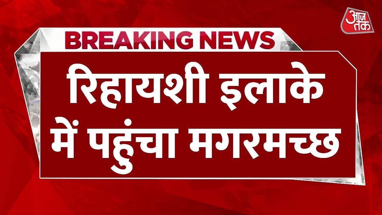 Today’s Digital Breaking: A crocodile stuck under a car, rescue operation underway.