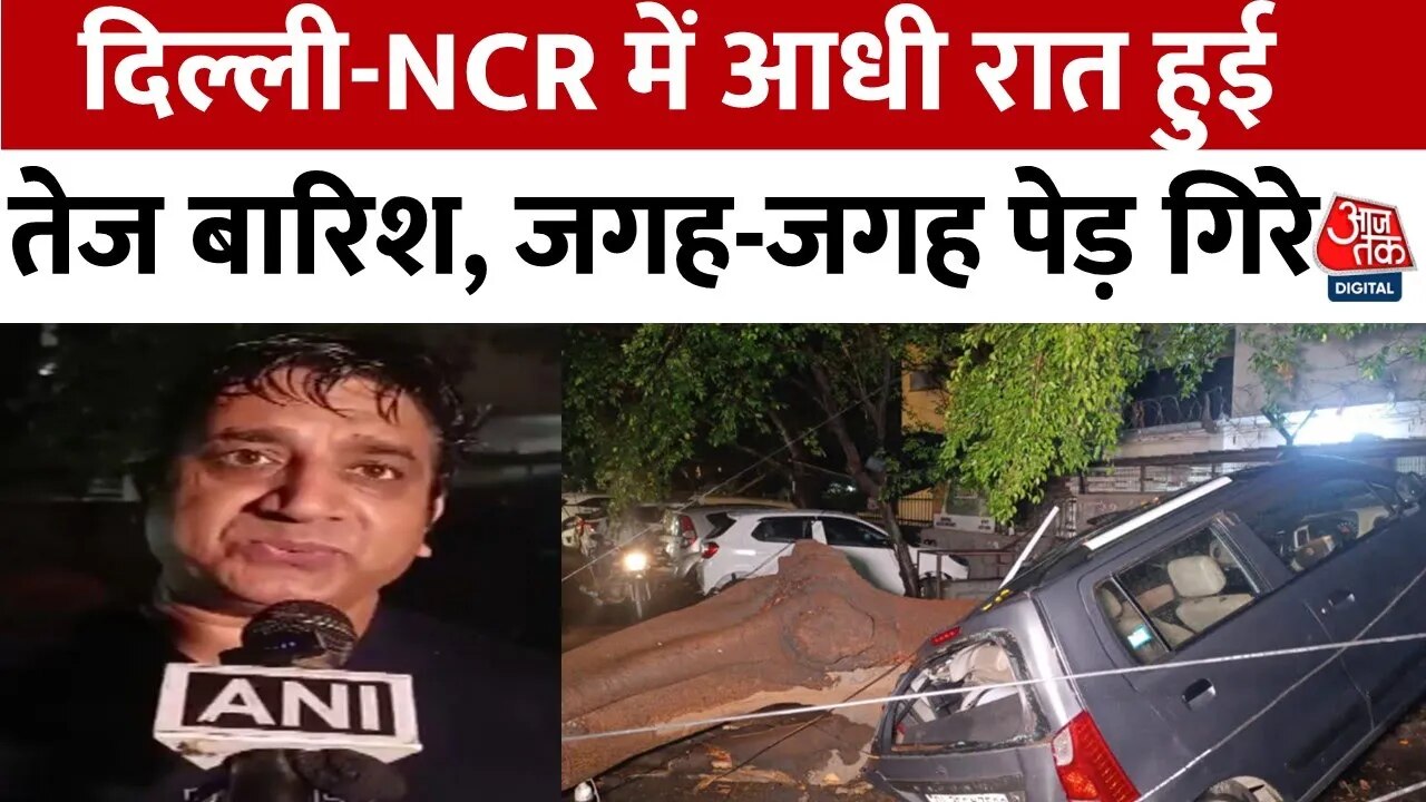 दिल्ली में बारिश के बाद पेड़ गिरने से सड़क पर कई गाड़ियां क्षतिग्रस्त, Video